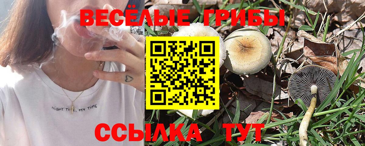 Псилоцибиновые грибы MAGIC MUSHROOMS Химки