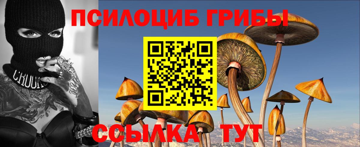 Химки  Псилоцибиновые грибы прущие грибы  Галлюциногенные грибы GOLDEN TEACHER  Вход с VPN 